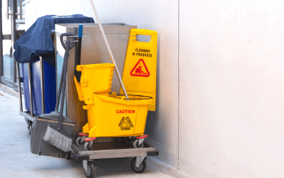 Servizio Pulizie Robbiate